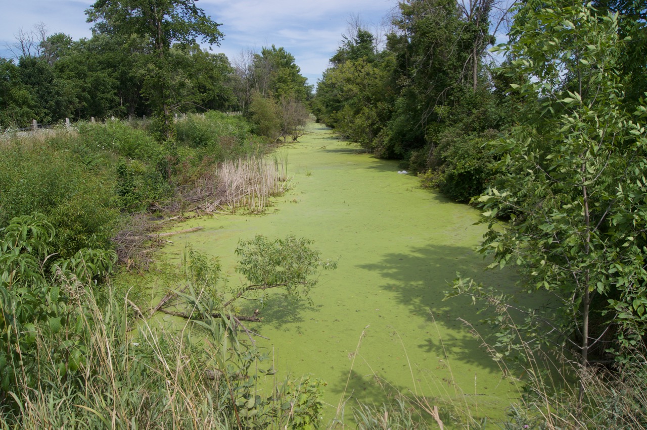 Feeder Canal for the Welland Canal